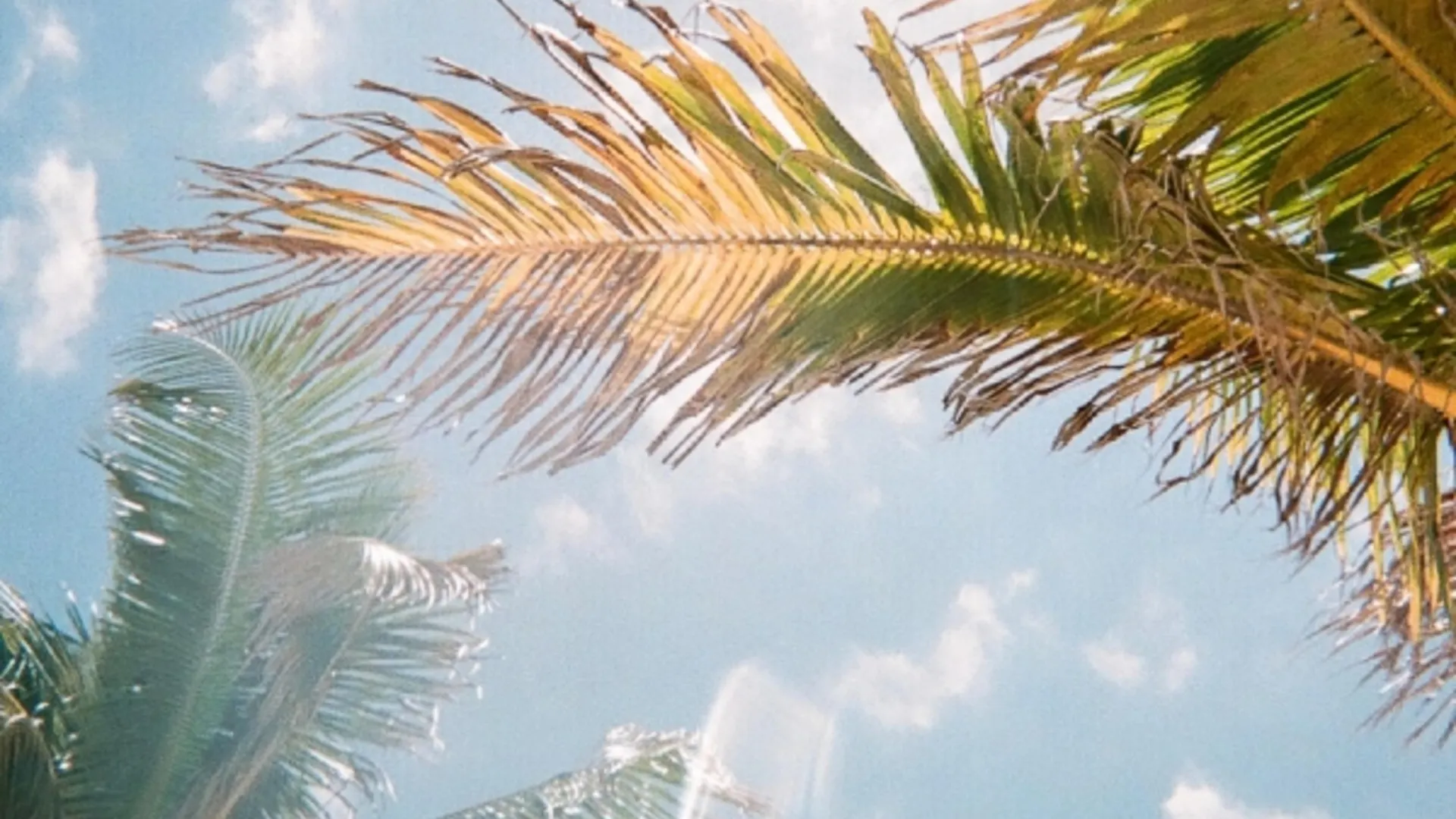 Ridley House - Key West Historic Inns (Adults Only)